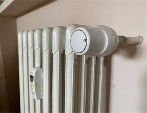 Termoattuatore